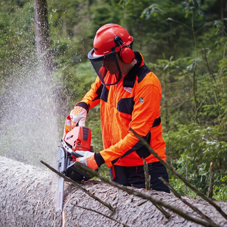 Intelligence for a complex catalog